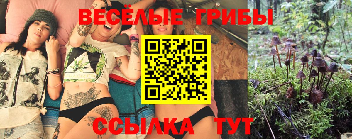 Ачинск  Галлюциногенные грибы мухоморы  Псилоцибиновые грибы Magic Shrooms  Вход с VPN 